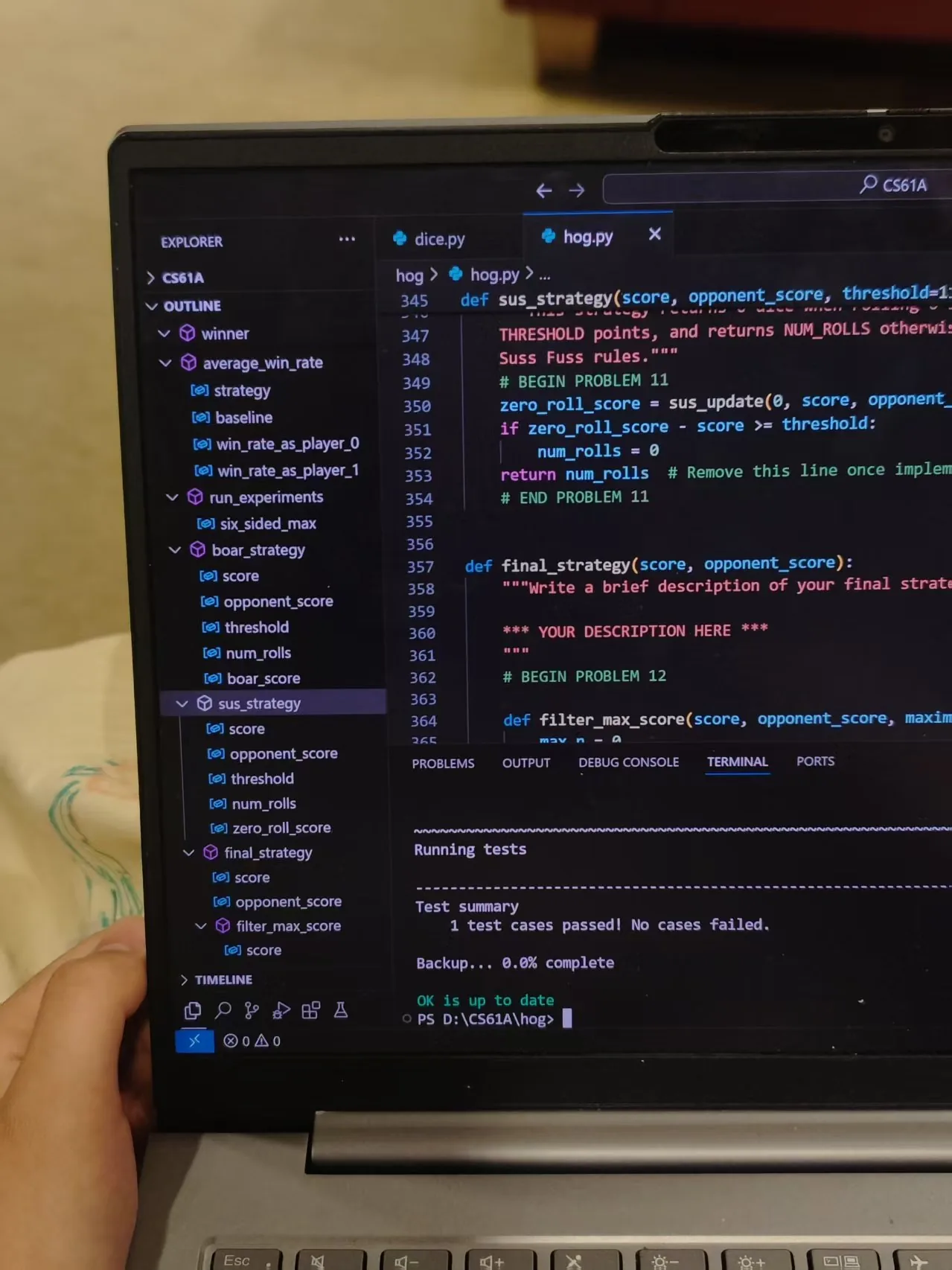 A screen showing all test cases passed