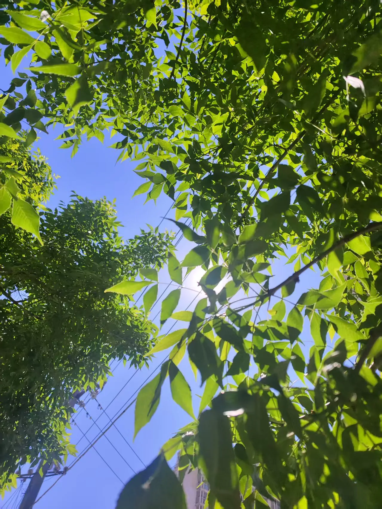 An open sky overhead