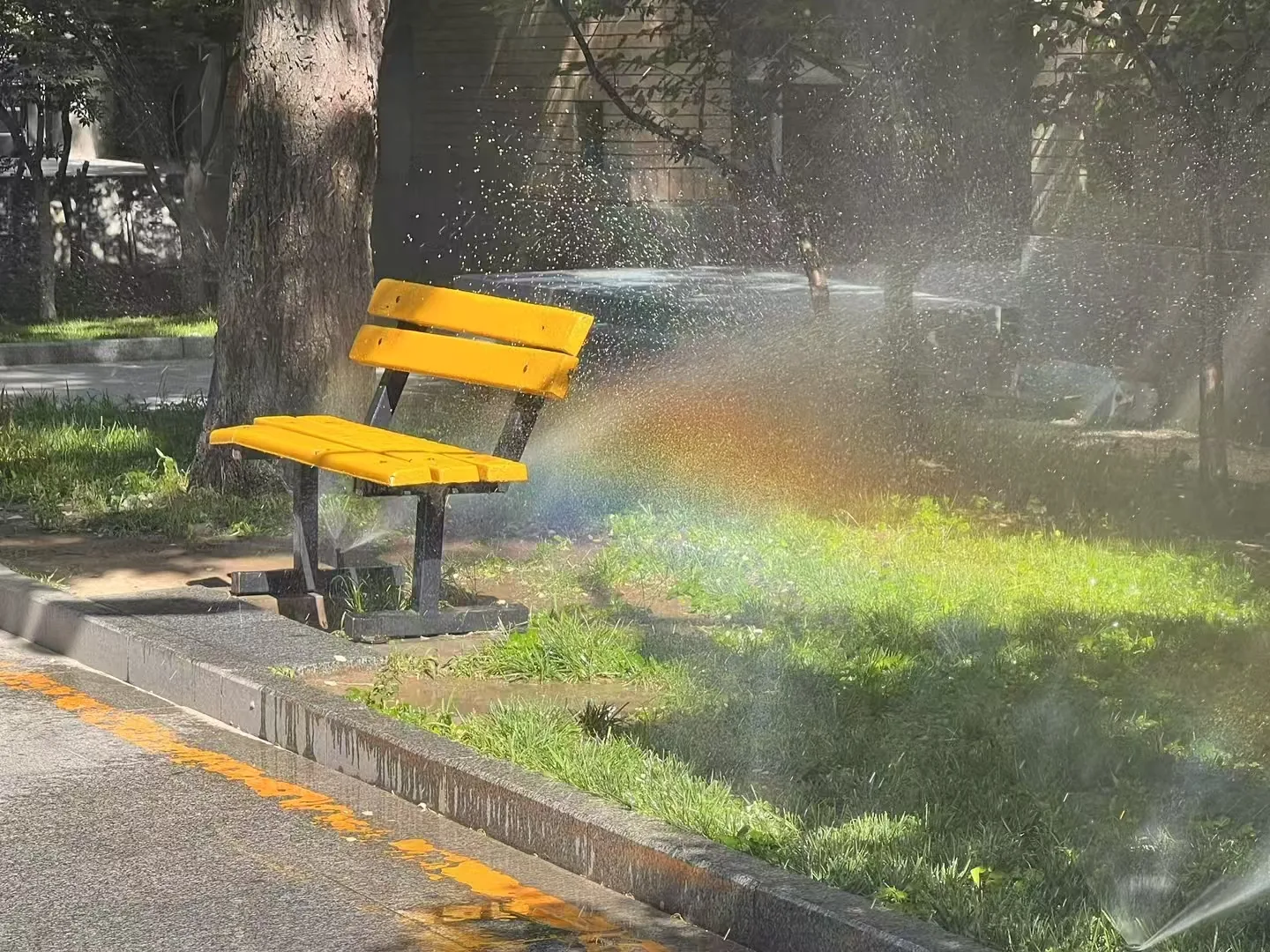 A rainbow after the rain